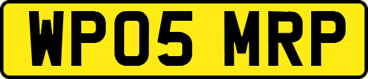 WP05MRP