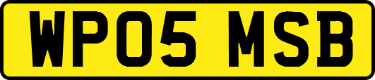 WP05MSB