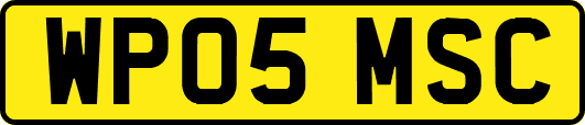 WP05MSC