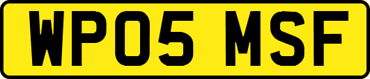 WP05MSF