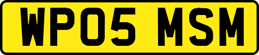 WP05MSM
