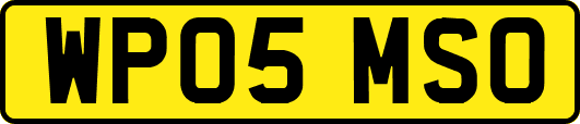 WP05MSO
