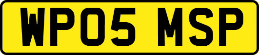 WP05MSP