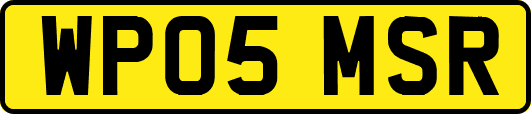 WP05MSR