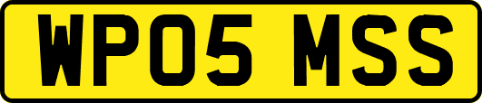 WP05MSS