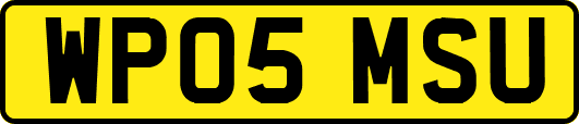 WP05MSU
