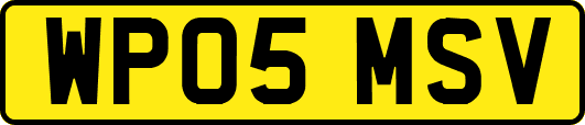 WP05MSV