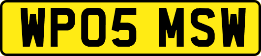 WP05MSW
