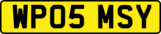 WP05MSY
