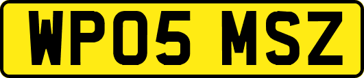 WP05MSZ