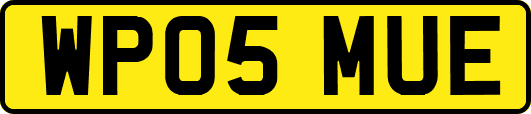 WP05MUE