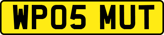 WP05MUT