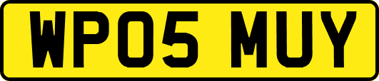 WP05MUY