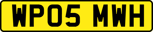 WP05MWH