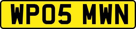 WP05MWN