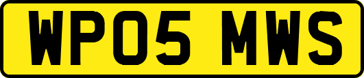 WP05MWS