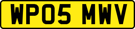 WP05MWV