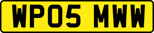 WP05MWW
