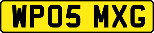 WP05MXG
