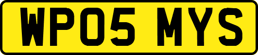 WP05MYS