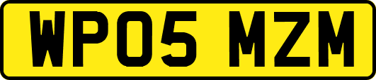 WP05MZM