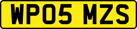 WP05MZS