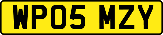 WP05MZY