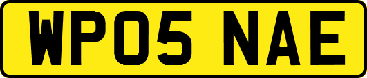 WP05NAE