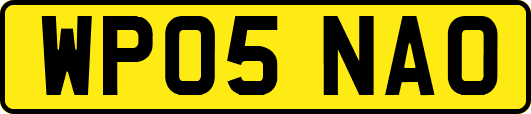 WP05NAO