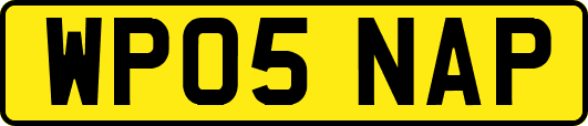 WP05NAP