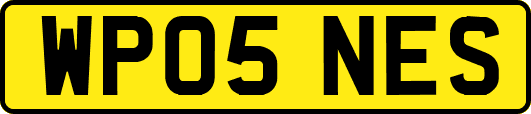 WP05NES