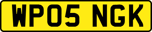 WP05NGK