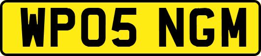 WP05NGM