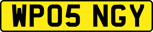 WP05NGY