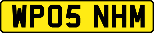 WP05NHM