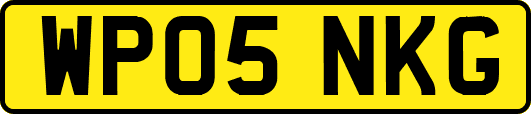 WP05NKG