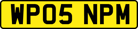 WP05NPM