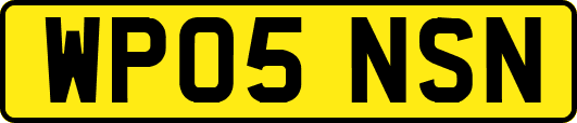 WP05NSN