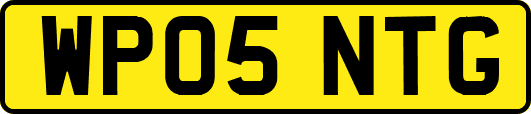 WP05NTG