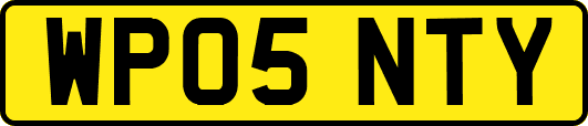 WP05NTY