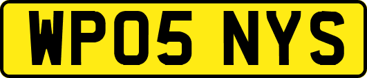 WP05NYS