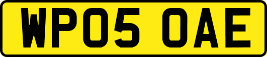WP05OAE