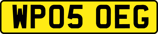 WP05OEG