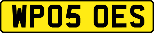 WP05OES