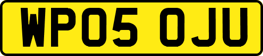 WP05OJU