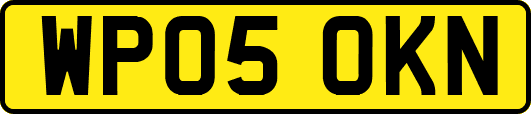WP05OKN