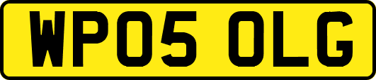WP05OLG