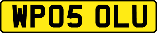 WP05OLU