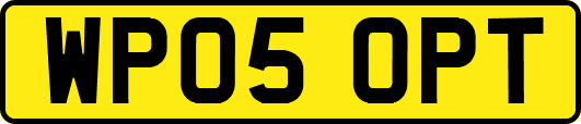 WP05OPT
