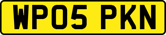 WP05PKN